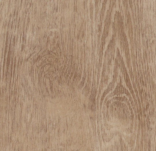 Vinylboden Forbo Allura Enduro 0,30 Natur Warm Eiche 69135, klebefertig, mit Holzmaserung und warmem Braunton.