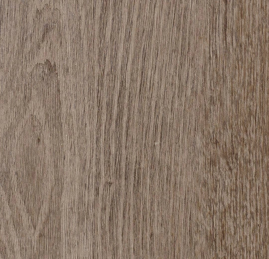 Forbo Allura Enduro Vinylboden in Natural Grey Oak, 0,30 mm Stärke, sichtbare Holzmaserung und strukturierte Oberfläche
