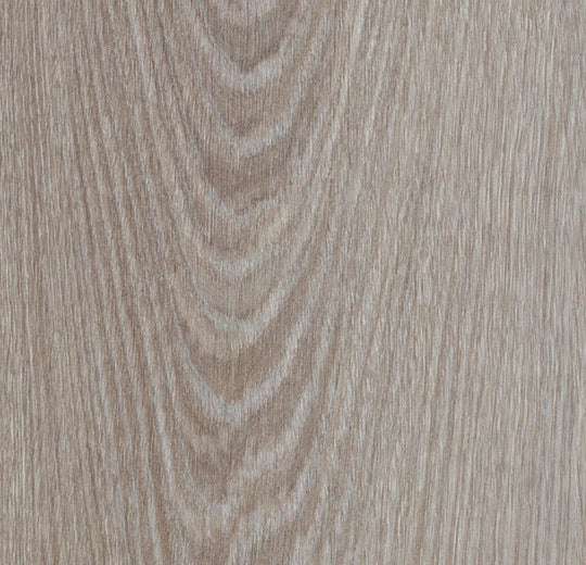 Grauer Vinylboden Forbo Allura Dryback 0,55 in Holzoptik, Timber 63408, mit Dryback-Klebeschicht, detailreiche Holzmaserung sichtbar