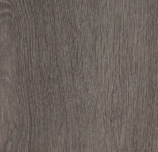 Forbo Allura Dryback Vinylboden in Grau mit Eichenmuster, 0,40 mm Stärke, sichtbare Oberfläche und Klicksystem