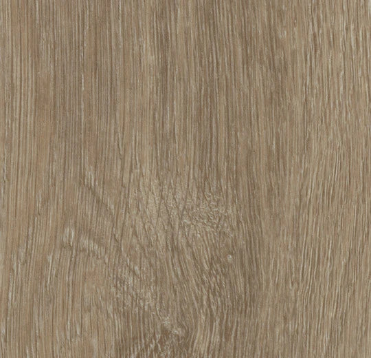 Fürbo Allura Dryback Vinylboden Light Giant Oak 60288 mit Holzoptik, XL-Format, klickbare Oberfläche, langlebig und pflegeleicht.