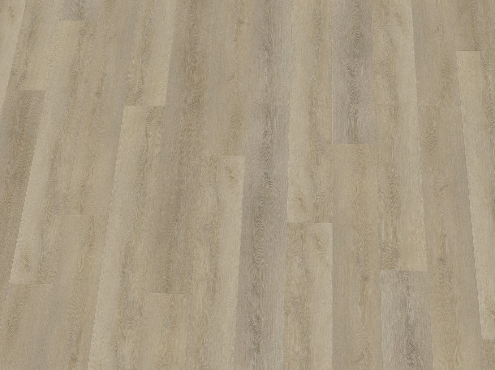 Heller Vinylboden IPC Terra Design Sofia Klebevinyl mit Holzmaserung, strapazierfähig und stilvoll für Innenräume