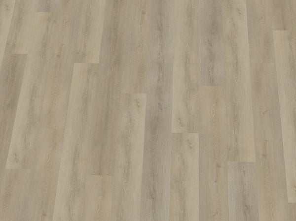 Heller Vinylboden IPC Terra Design Sofia Klebevinyl mit Holzmaserung, strapazierfähig und stilvoll für Innenräume