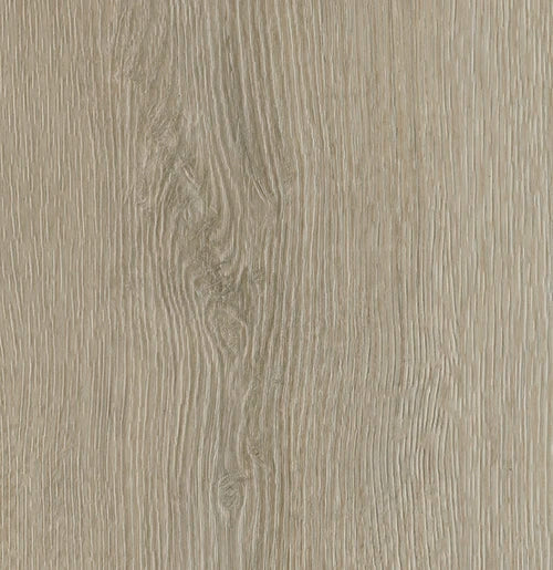 Helles Vinylboden IPC Terra Design Sofia aus Klebevinyl, detailreiche Holzoptik, langlebig und pflegeleicht.