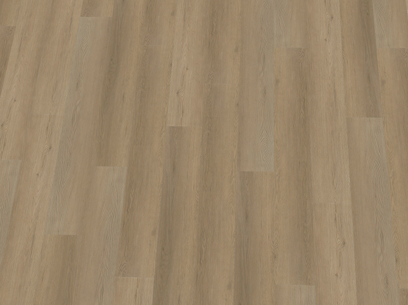 Schwarzer IPC Terra Design Vilnius Vinylboden aus Klebevinyl, detailreiche Holzoptik, langlebiges Bodenbelagsmaterial