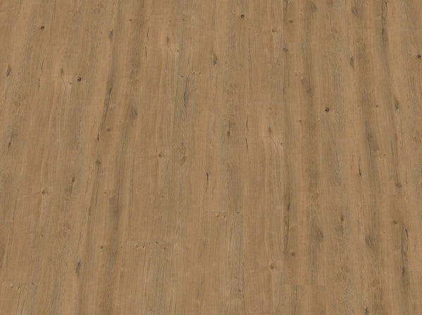 IPC Terra Design Riga Vinylboden aus Klebevinyl in Schwarz-Weiß mit Holzmaserung, langlebig und stilvoll für Wohnräume.