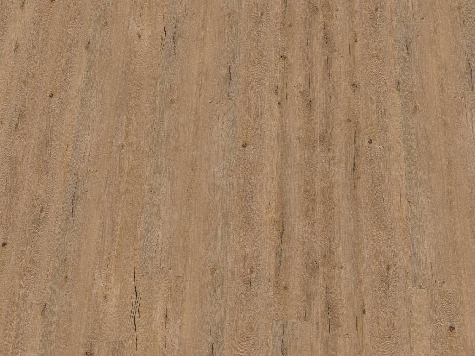 Helles Vinylboden IPC Terra Design Brüssel aus Klebevinyl mit Holzoptik, in dunklem Farbton, auf glattem Untergrund verlegt.