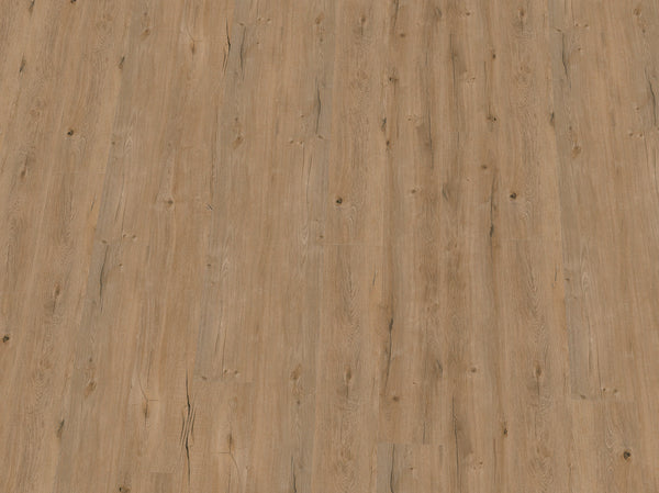 Helles Vinylboden IPC Terra Design Brüssel aus Klebevinyl mit Holzoptik, in dunklem Farbton, auf glattem Untergrund verlegt.