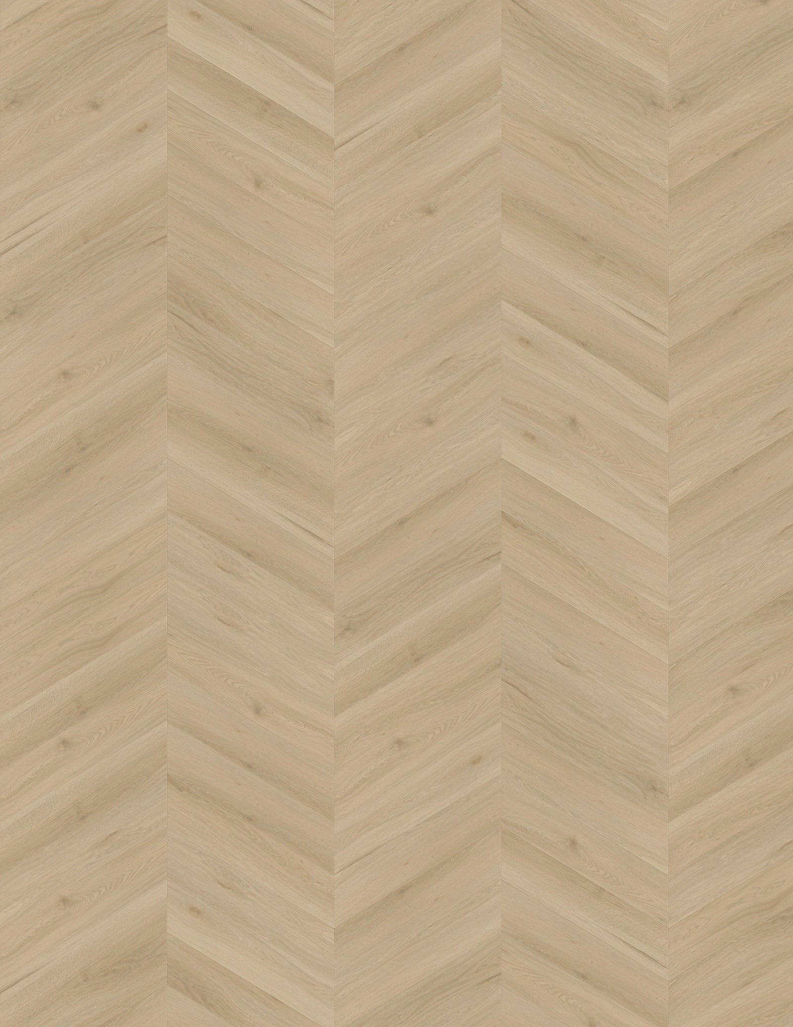 Vinylboden IPC Opal Chevron Eiche Den Bosch, Klebevinyl mit geölter Eichenoptik, gestreift, langlebig, hochwertiges Design