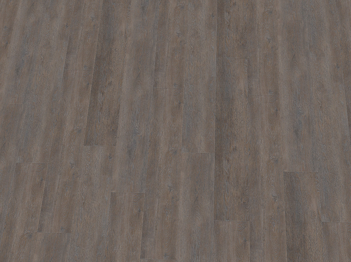 Vinylboden IPC Rubin XL Eiche muschelgrau, Klebevinyl, detailreiche Holzoptik, robuste Oberfläche, langlebige Bodenbelagslösung