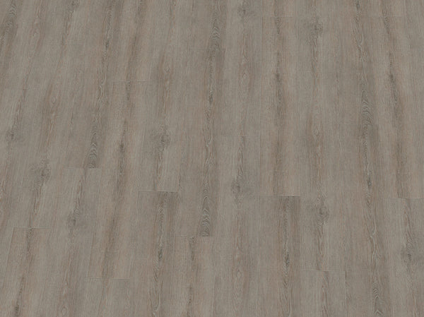 PVC Vinylboden IPC Rubin XL Eiche bleigrau, Klebevinyl, Nahaufnahme der texturierten Oberfläche und Holzmaserung.