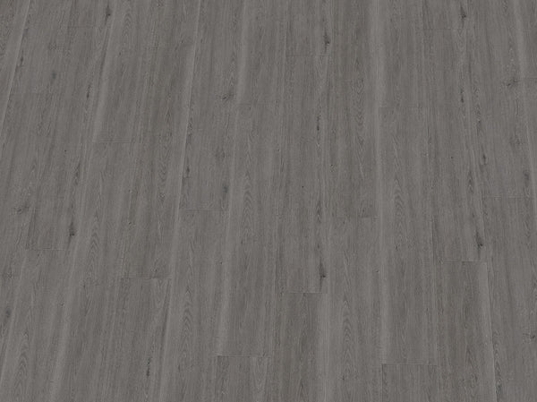 Vinylboden IPC Rubin XL Eiche asphaltgrau, Klebevinyl, Nahaufnahme der Holzstruktur und Oberflächenbeschaffenheit
