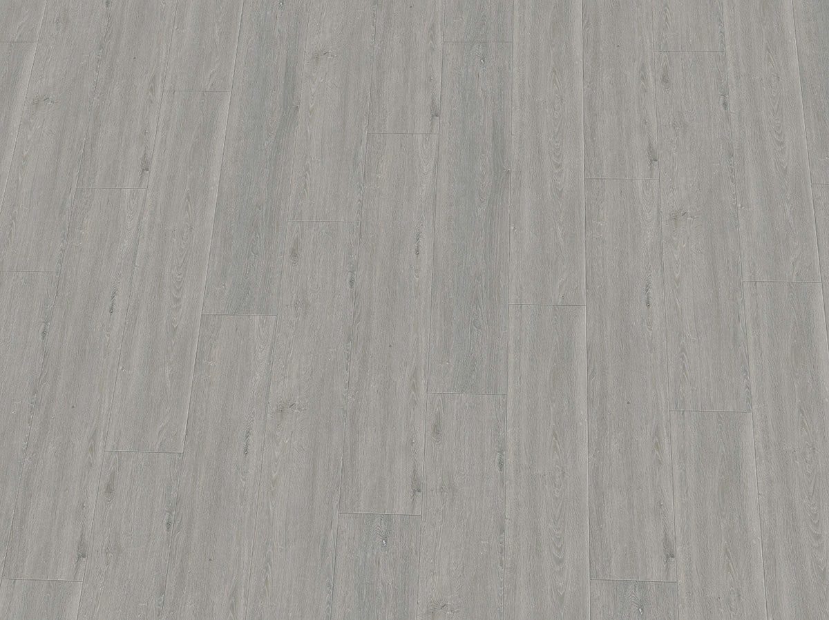 Vinylboden IPC Rubin XL Eiche seidengrau, Klebevinyl, detailreiche Holzoptik mit seidengrauen Eichenmustern.