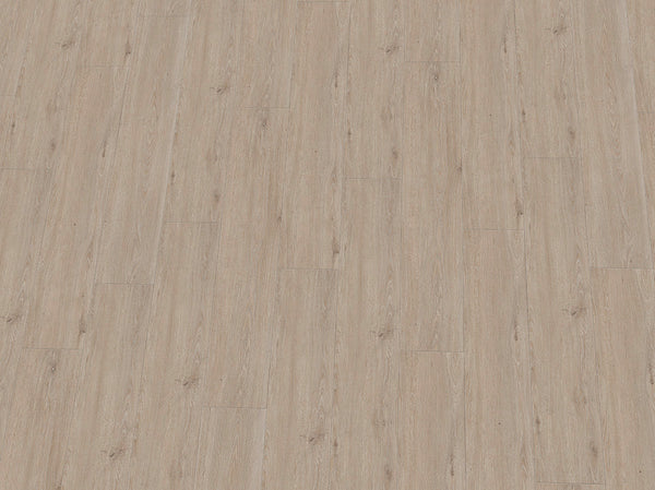 Heller Vinylboden IPC Rubin XL Eiche steinweiß, Klebevinyl, mit Holz- und Steinoptik, auf dem Boden liegend, Nahaufnahme