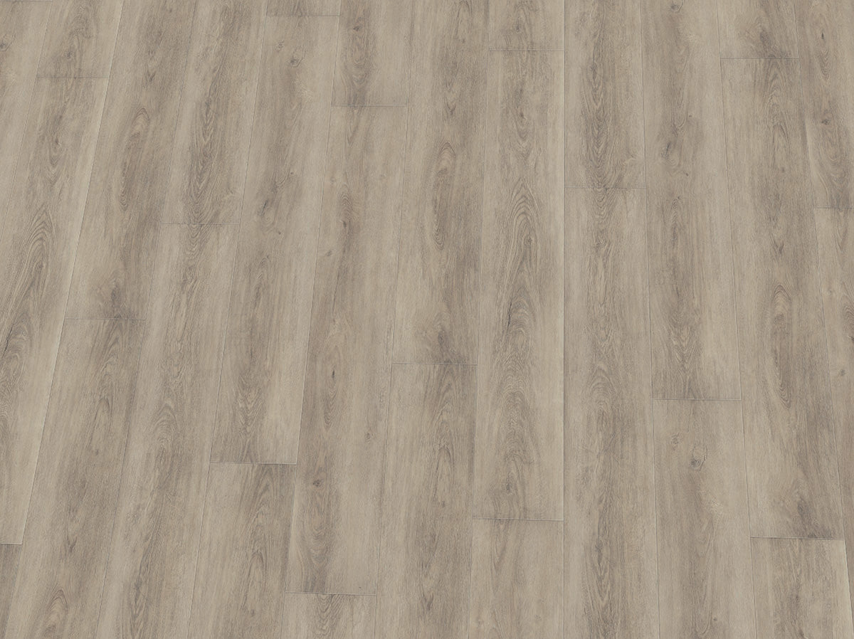 Helles Vinylboden IPC Topas XXL Eiche silber, Klebevinyl, mit Holzmaserung und silbernem Finish, auf Bodenbelag ausgelegt