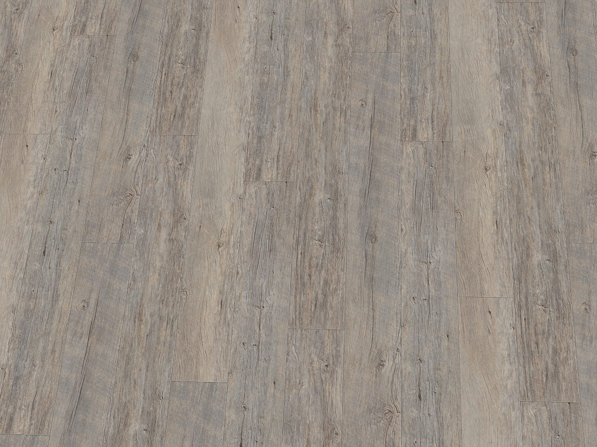 Vinylboden IPC Smaragd Eiche Altholz mineralgrau, Klebevinyl, detailreiche Holzmaserung und matte Oberfläche, eleganter Bodenbelag