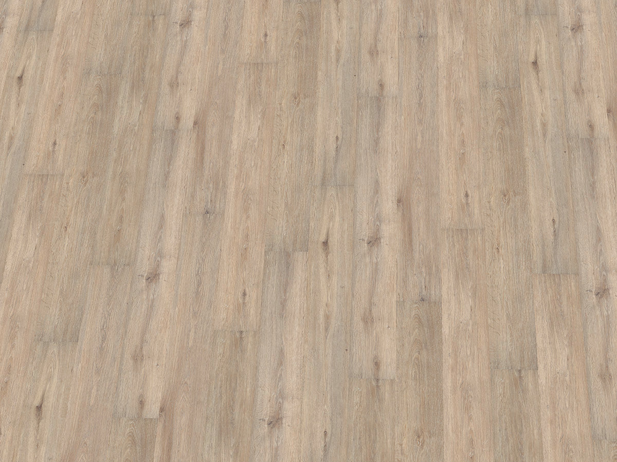 Vinylboden IPC Saphir Plus Eiche felsgrau, Klebevinyl, Nahaufnahme der Textur und Muster auf dem Bodenbelag