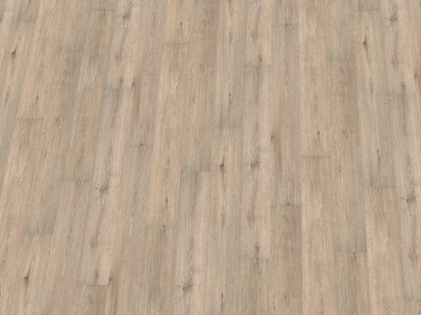 Vinylboden IPC Saphir Plus Eiche felsgrau, Klebevinyl, Nahaufnahme der Textur und Muster auf dem Bodenbelag