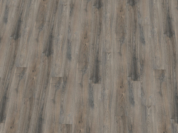 Vinylboden IPC Saphir Plus Eiche graubeige, Klick-Vinyl mit Holzmaserung und warmem Farbton, detailreiche Oberfläche.