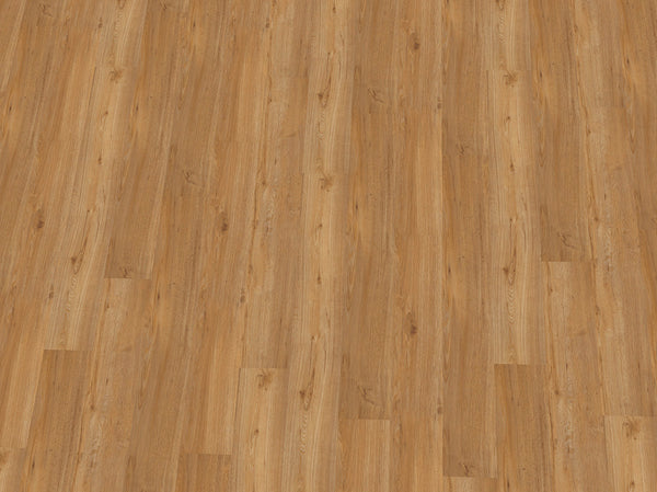 Heller Vinylboden IPC Saphir Plus Eiche naturell, Klebevinyl, sichtbare Holzstruktur und natürliche Eichenoptik.