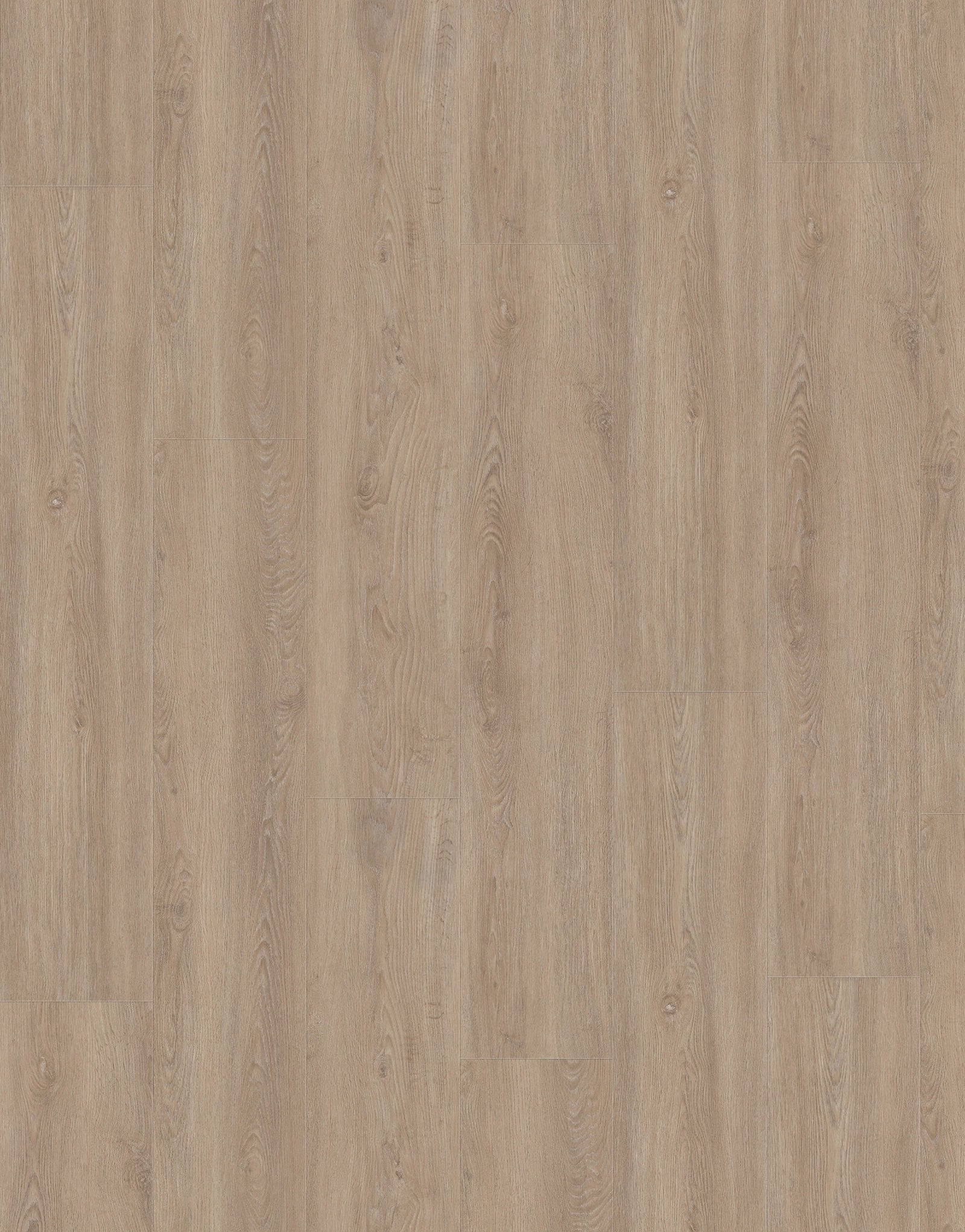 Vinylboden IPC Jade Design 704 in Schwarz-Weiß, Klebevinyl mit Holzmaserung, langlebiges Bodenbelag, nahes Blickbild