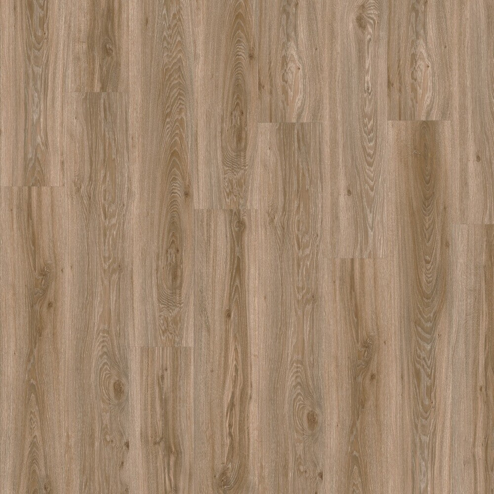 Moduléo Roots 55 Blackjack Oak Vinylboden, Klebevinyl mit Eichenholzdesign, hochauflösende Abbildung des Bodenbelags