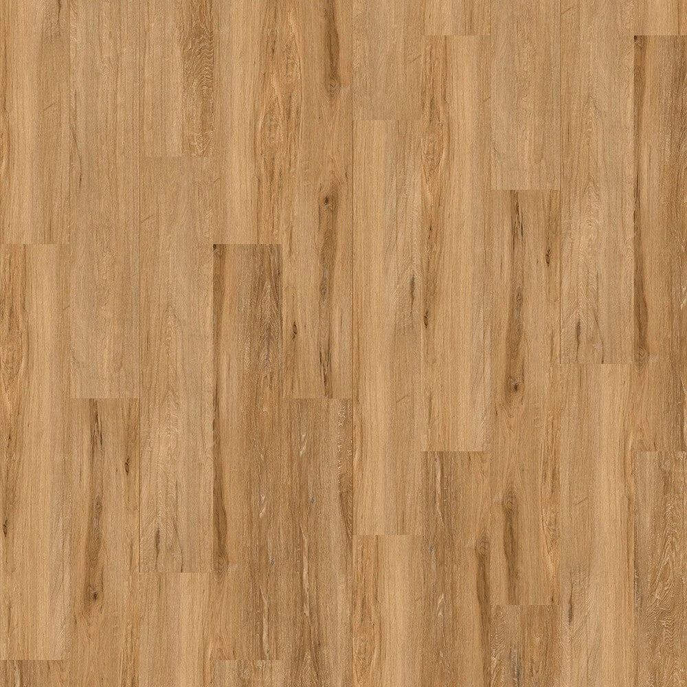 Vinylboden Liberty Urban 55 Ghost mit Klebevinyl, helle graue Holzoptik, langlebiges Bodenbelagsmaterial für moderne Räume