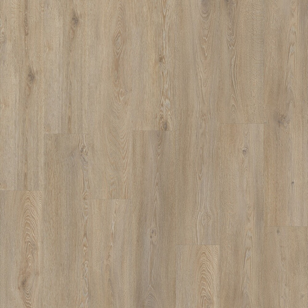 Moduloe Roots 55 Galtymore Eichen-Vinylboden, Klebevinyl, mit realistischem Holzdesign, hochwertiges Vinylboden-Produkt