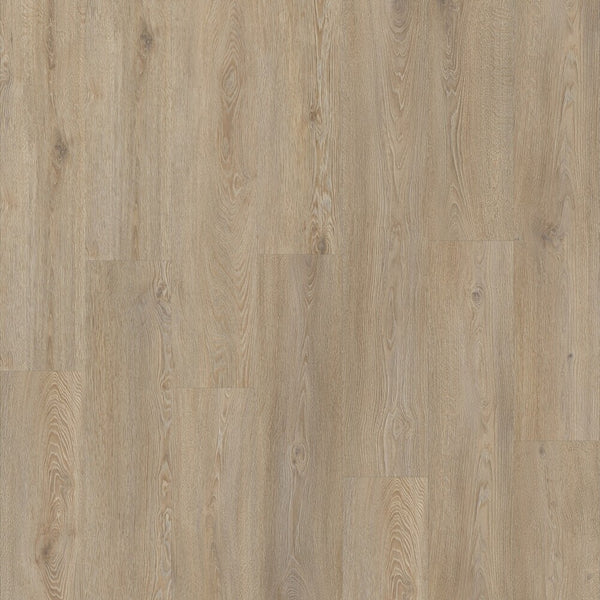 Moduloe Roots 55 Galtymore Eichen-Vinylboden, Klebevinyl, mit realistischem Holzdesign, hochwertiges Vinylboden-Produkt