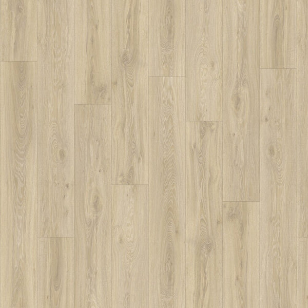 Vinylboden Moduleo Roots 55 Blackjack Oak, Klebevinyl, mit natürlicher Eichen-Optik und Holzstruktur in dunklem Braun.