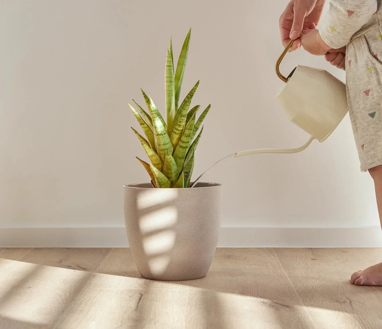 COREtec Naturals 1200 Forest - 50 LVP 806 - WaBo-Design