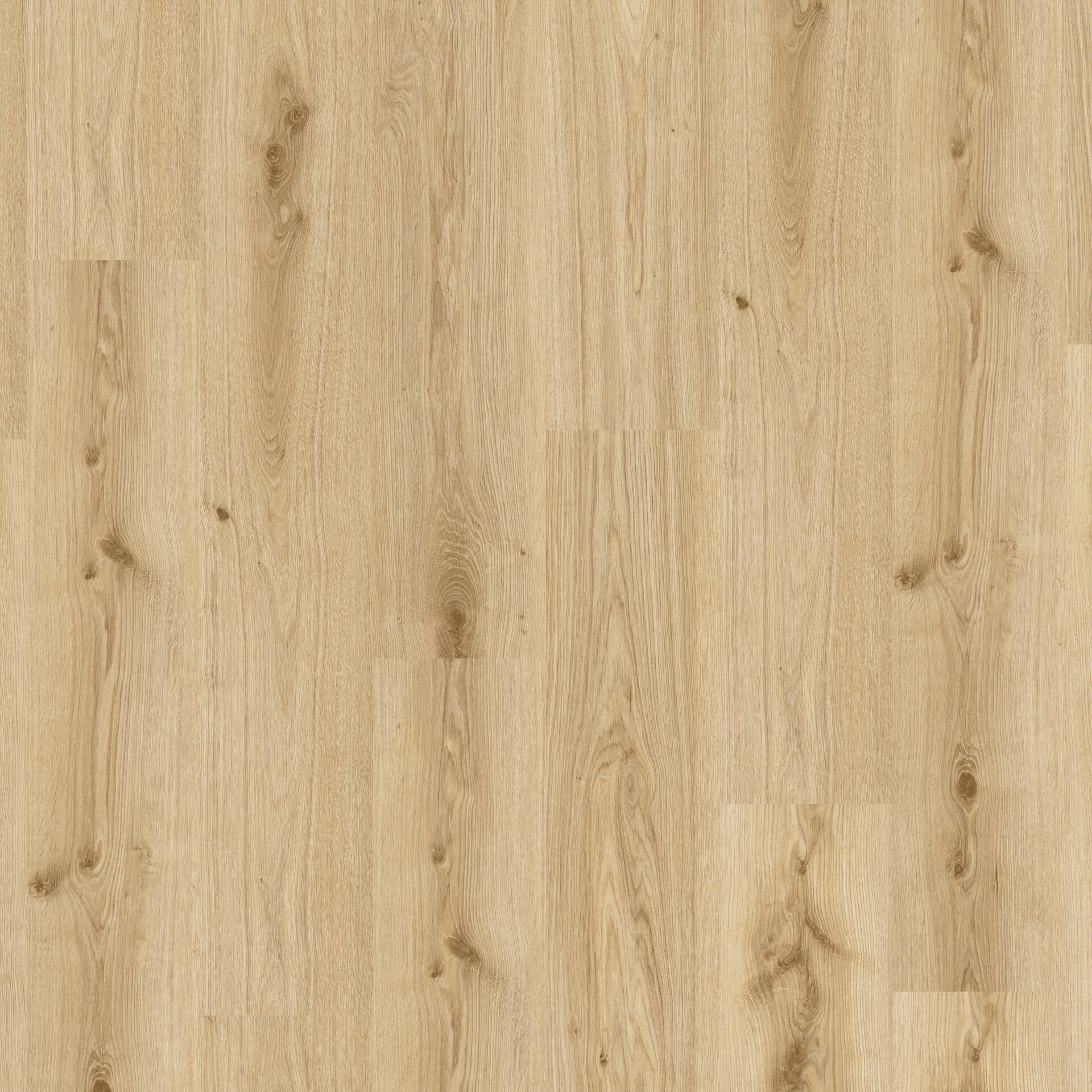 Tarkett iD Essence Rigid 30 Klick-Vinylboden in hellem Eichenholz, robustes Vinyl mit natürlicher Holzmaserung, Bodenbelag für Innenräume