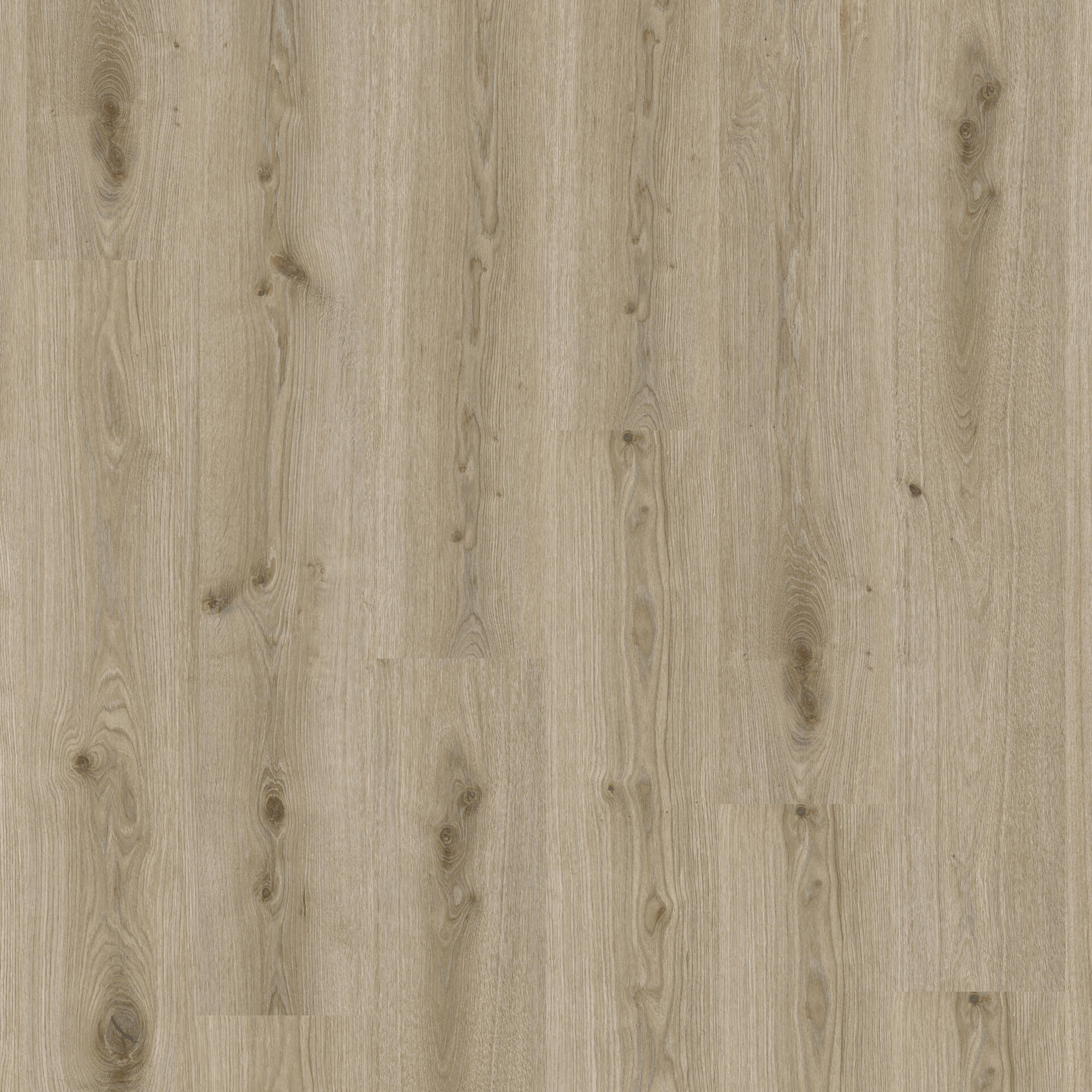 Tarkett iD Essence Rigid 55 Klick-Vinylboden in hellem Eichen-Look, leichter Grauton, langlebiger Vinylboden.