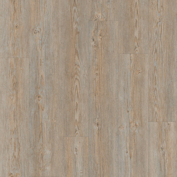 Vinylboden Tarkett iD Inspiration 55 Classics gebürstetes Kiefergrau, Klebevinyl, dekoratives Holzdesign, langlebiges Bodenbelag.