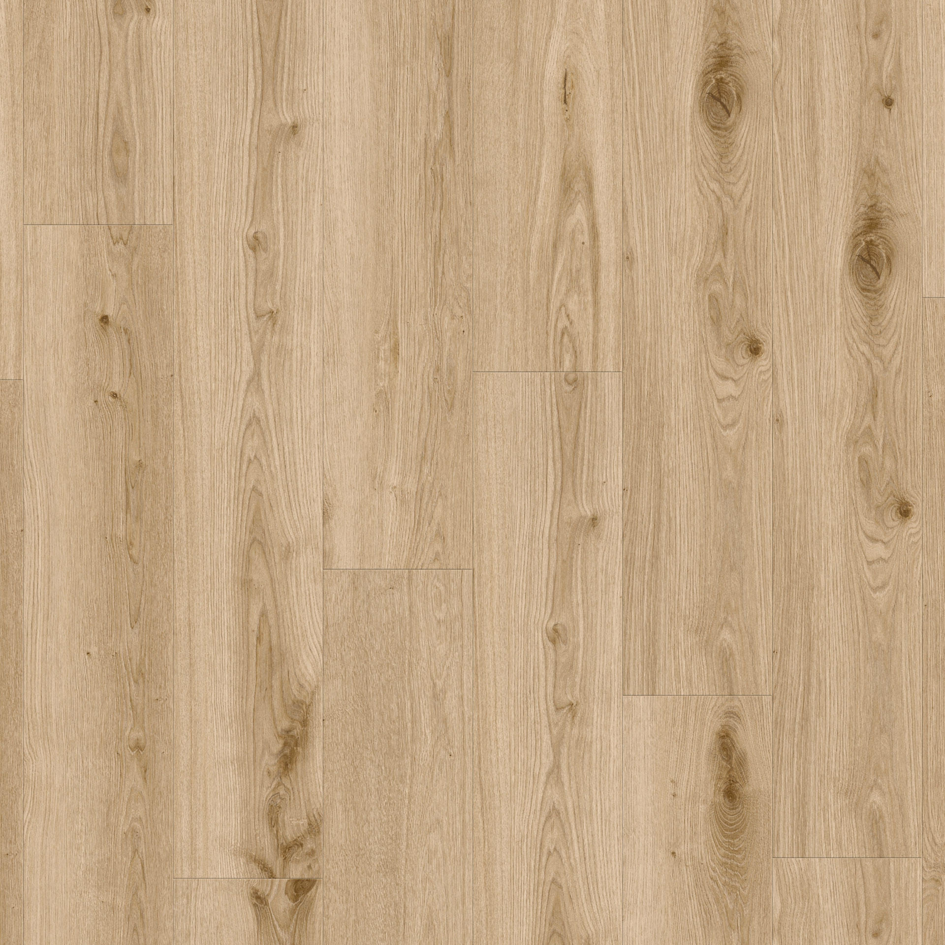 Tarkett iD Inspiration 55 Authentics Delicate Oak Barley Vinylboden, authentischer Holz-Look, langlebiger Klebevinyl, elegante Holzoptik