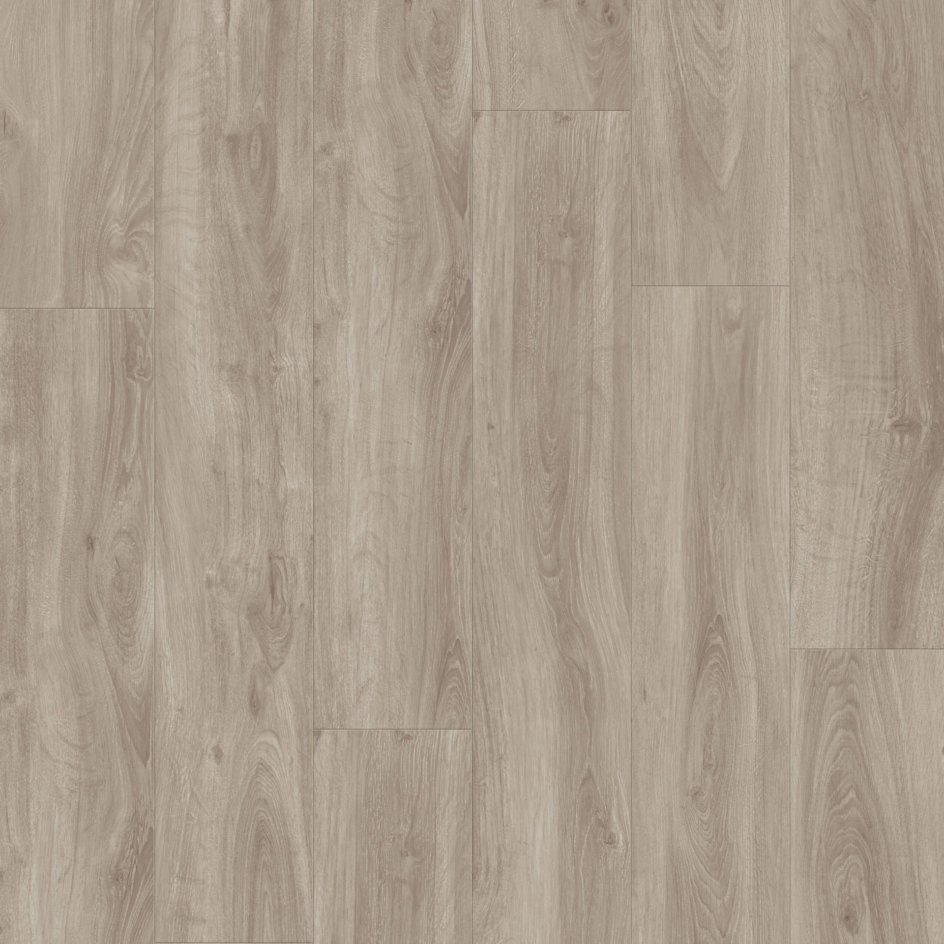 Vinylboden Tarkett iD Inspiration 30 Classics English Oak Grey Beige, Klebevinyl mit Holzmaserung in Grautönen, Nahaufnahme