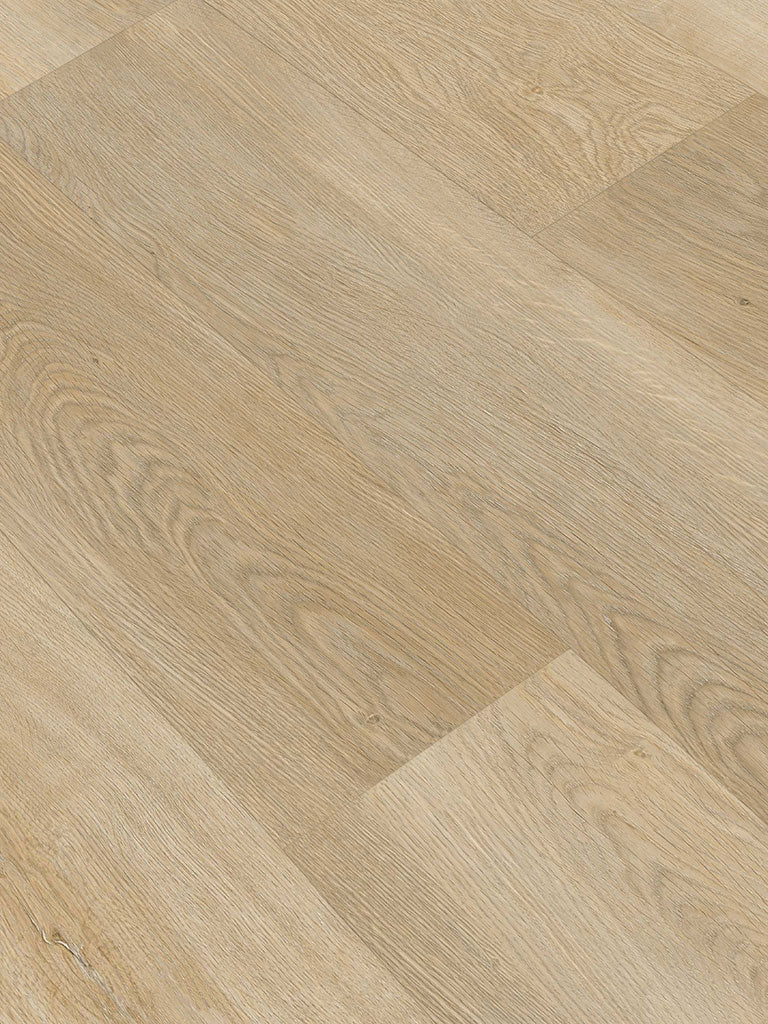 World of SPC Aurora Oak, Klickvinyl in Holzoptik