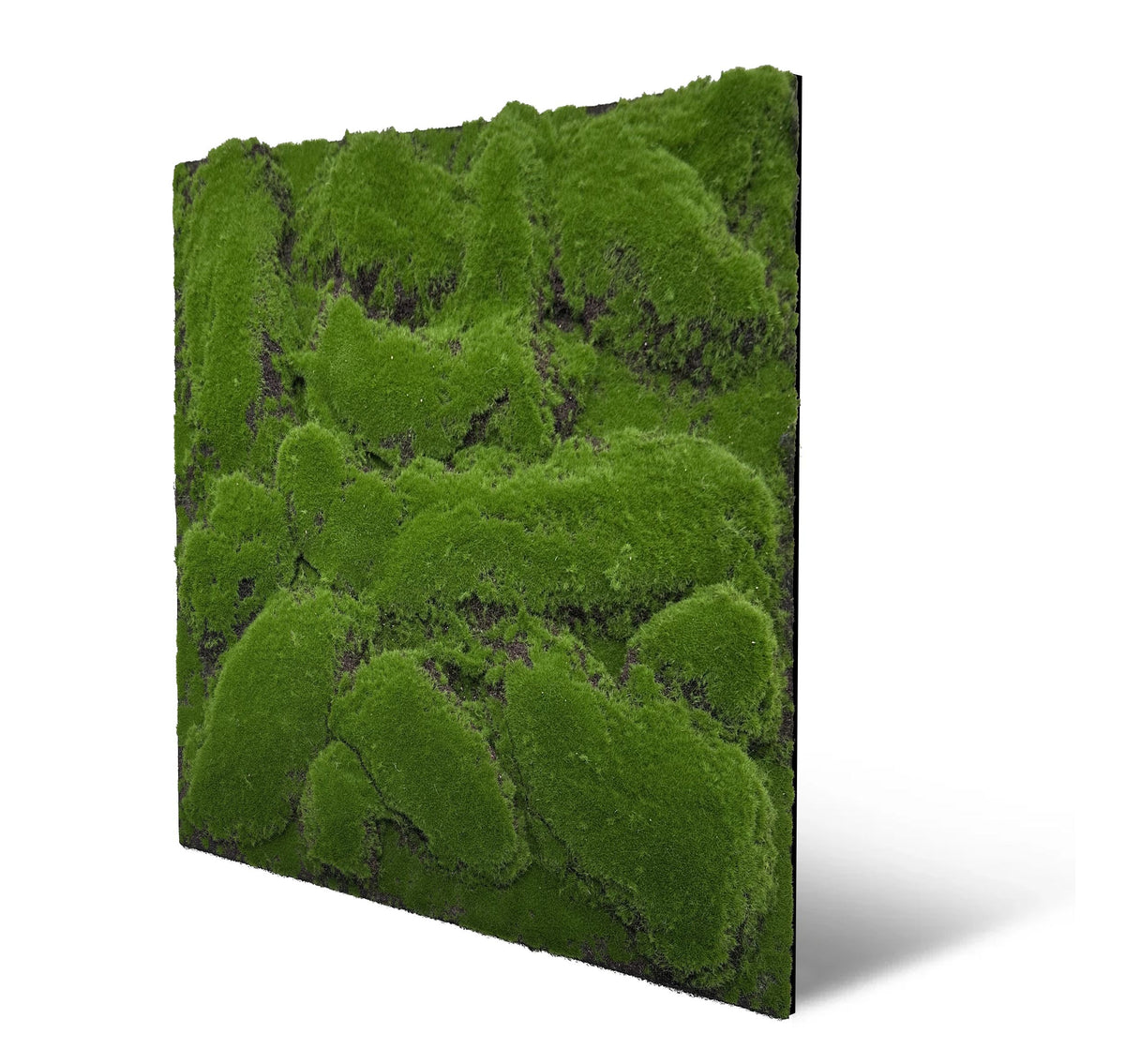 Jangal Wandpaneel Design-Moos in Dunkelgrün, modular, 52x52 cm, Wanddekoration aus Moos-Design für natürliche Raumgestaltung