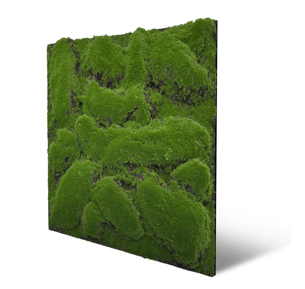 Jangal Wandpaneel Design-Moos in Dunkelgrün, modular, 52x52 cm, Wanddekoration aus Moos-Design für natürliche Raumgestaltung