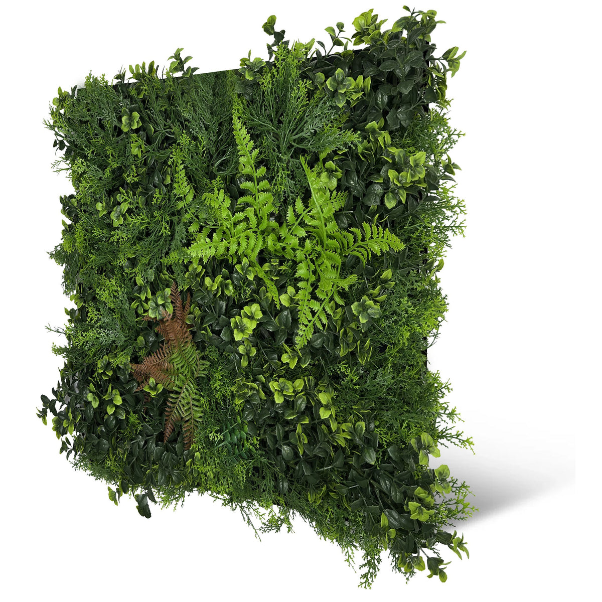 Jangal Wandpaneel mit grüner, gemischter Pflanzenmischung, 52 x 52 cm, modulare Wanddekoration mit lebendiger Flora