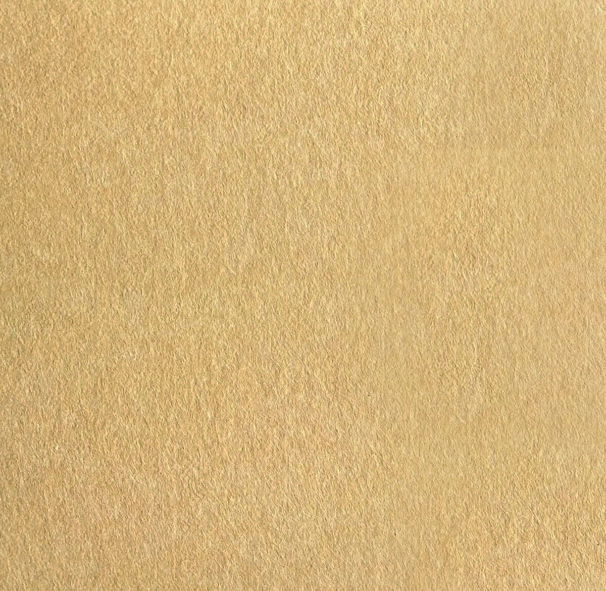 Jangal Wandpaneel Jangal Modular Wall Cream aus PET-Filz, quadratisch, 52 x 52 cm, moderne Wanddekoration in Cremefarbe