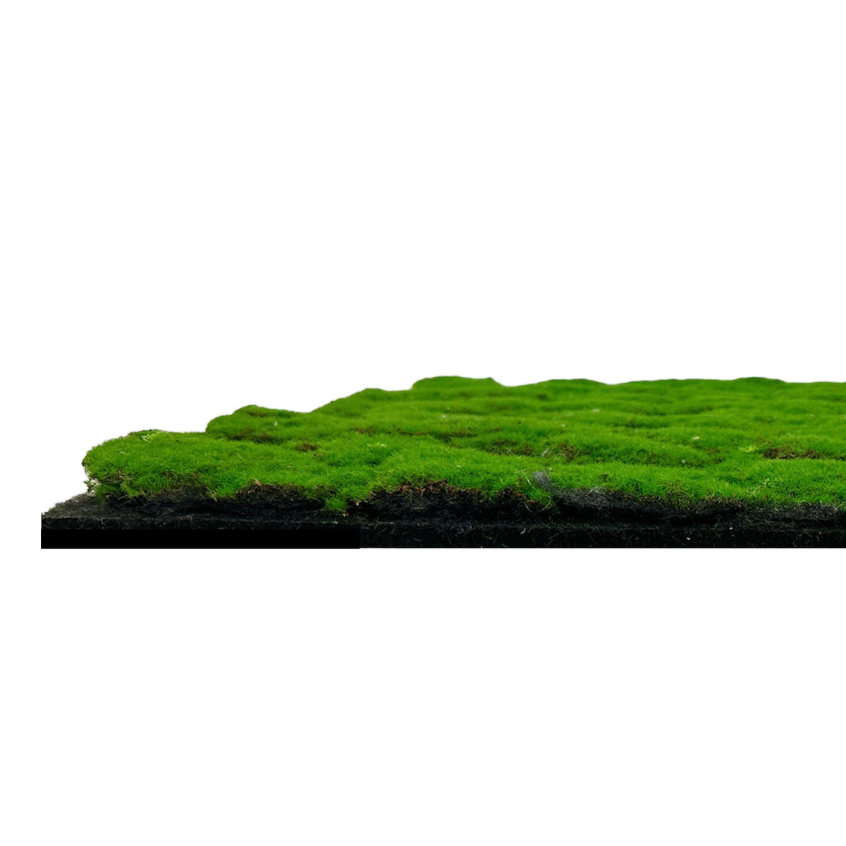Jangal Wandpaneel "Modular Wall" in moosgrün, 52 x 52 cm, grüner Design-Moos-Wanddekoration für Inneneinrichtung