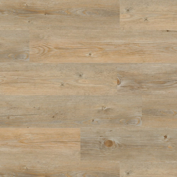 Vinylboden Project Floors ECO 3020 aus der Bio-Vinyl Eco-Plus-Kollektion, PVC-frei, mit klebender Oberfläche, in natürlichem Design