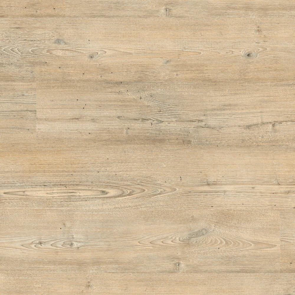 Vinylboden Project Floors ECO 3021 Bio-Vinyl, PVC-freier Klebevinyl, in natürlichem Holzdesign, für nachhaltigen Bodenbelag