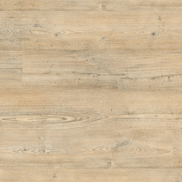 Vinylboden Project Floors ECO 3021 Bio-Vinyl, PVC-freier Klebevinyl, in natürlichem Holzdesign, für nachhaltigen Bodenbelag