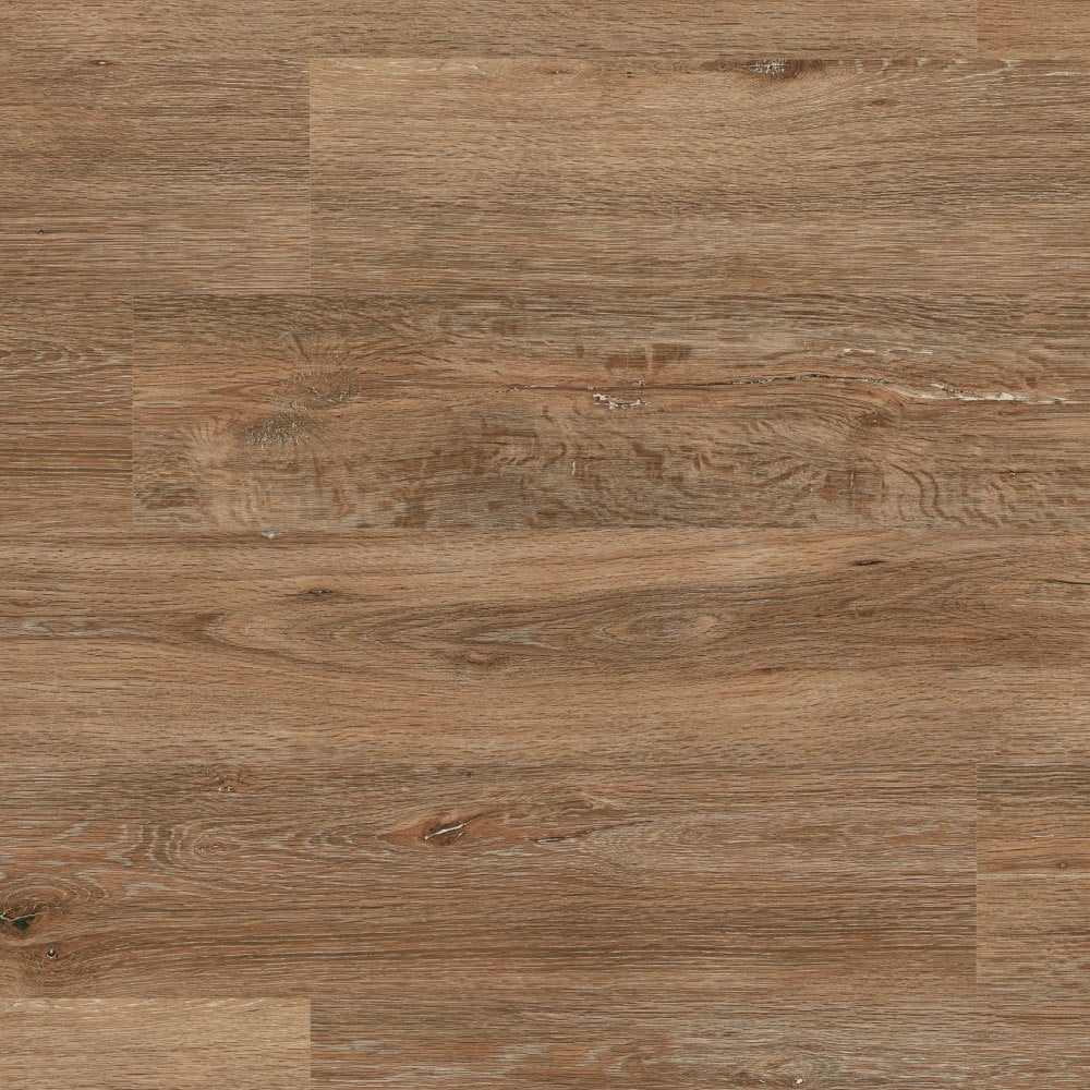 Vinylboden Project Floors ECO 3610 aus der ECO Plus Collection, bio- und PVC-freier Klebevinyl, mit Holzoptik in natürlichem Design