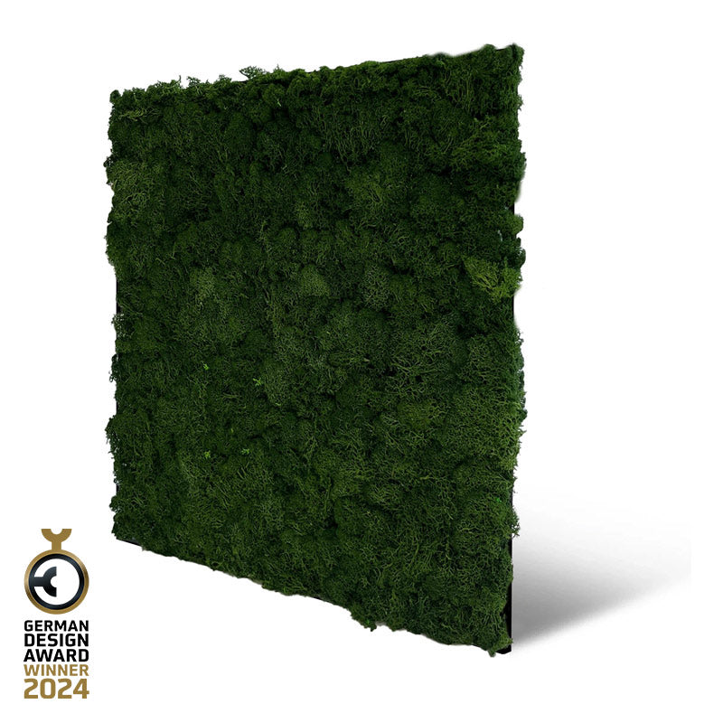 Jangal Modular Wandpaneel aus Echtmoos, dunkelgrün, 52 x 52 cm, akustisch schallabsorbierendes Wandpaneel für moderne Räume