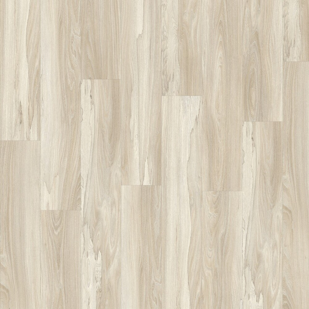 Moduleo Roots 55 Marsh Wood Vinylboden, Klebevinyl mit Holzoptik, helle braune Holzmaserung, hochwertiges Design
