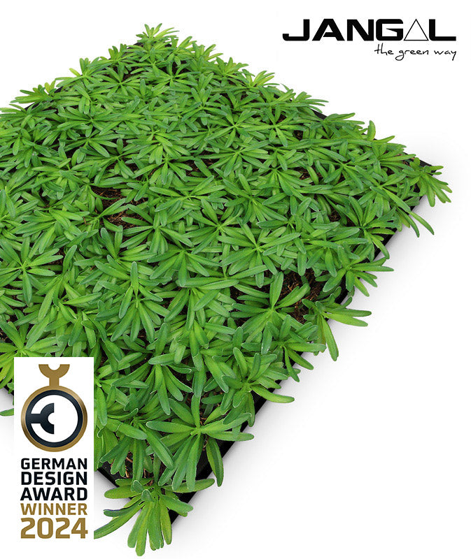 Jangal Wandpaneel mit Podocarpus und Teebaum, modular, 52x52 cm, grüne Pflanzen für stilvolle Wanddekoration