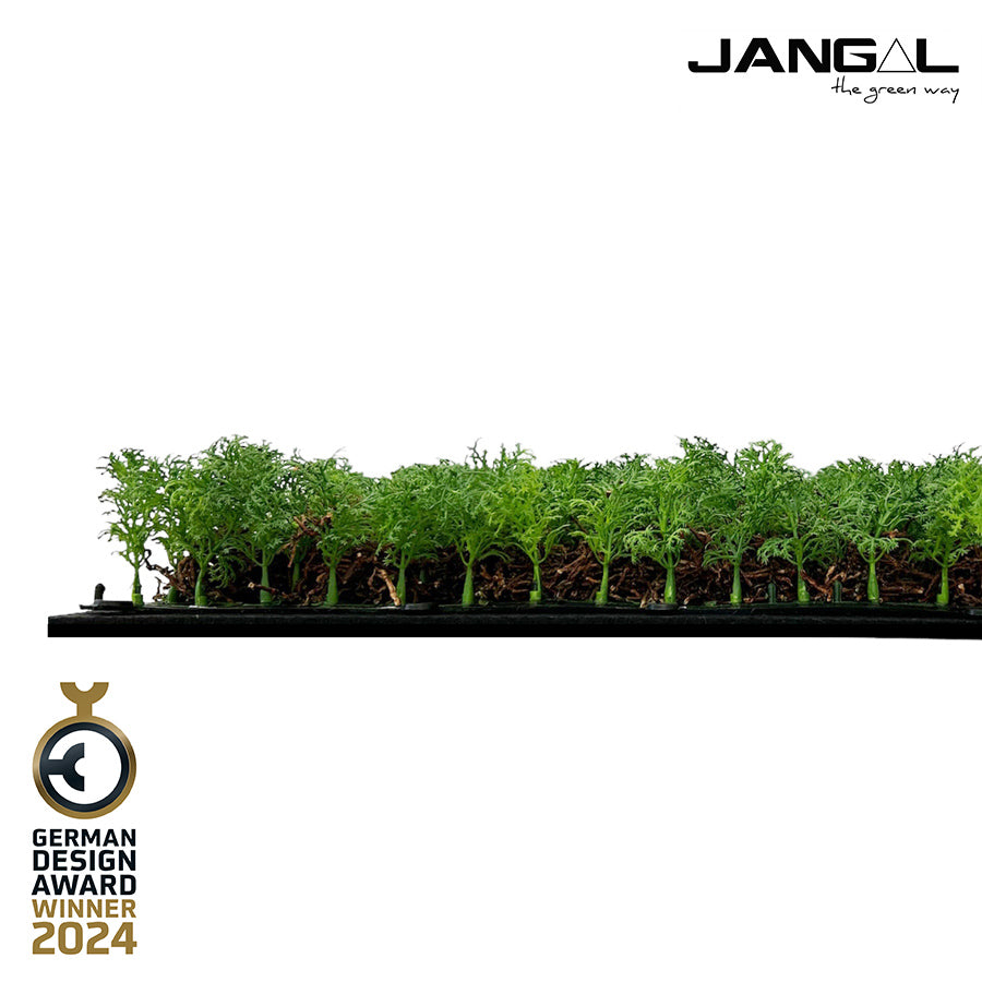 Jangal Wandpaneel Flora-Wandpanel Thuja und Teebaum, modulare Wanddekoration, 52 x 52 cm, grüne Pflanzenoptik